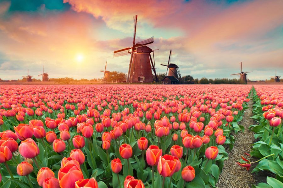 تور فرانسه و هلند