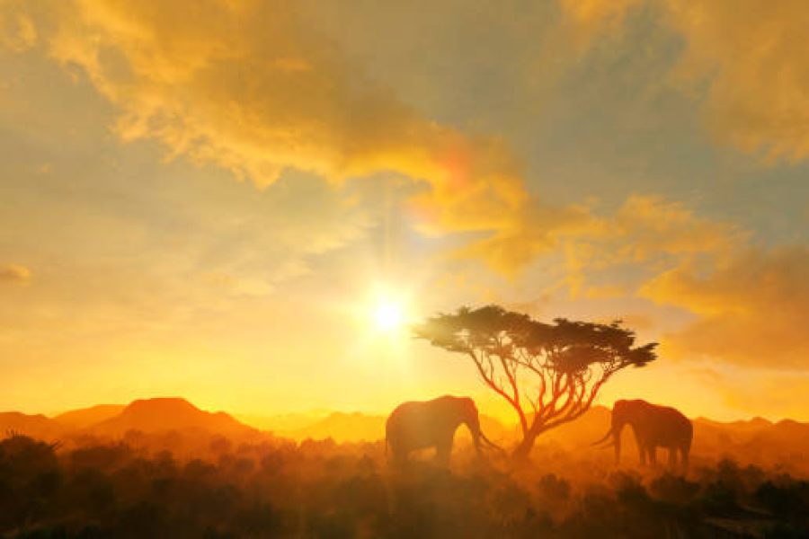 تور آفریقای جنوبی ویژه نوروز